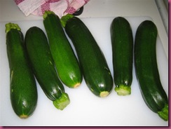 zucchini2